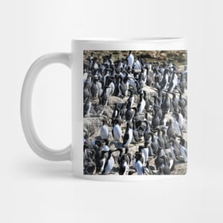 Guillemot colony on the Farne Islands - Northumberland, UK Mug